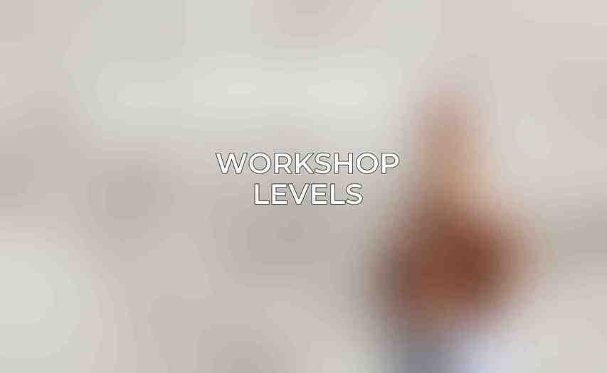 Workshop Levels
