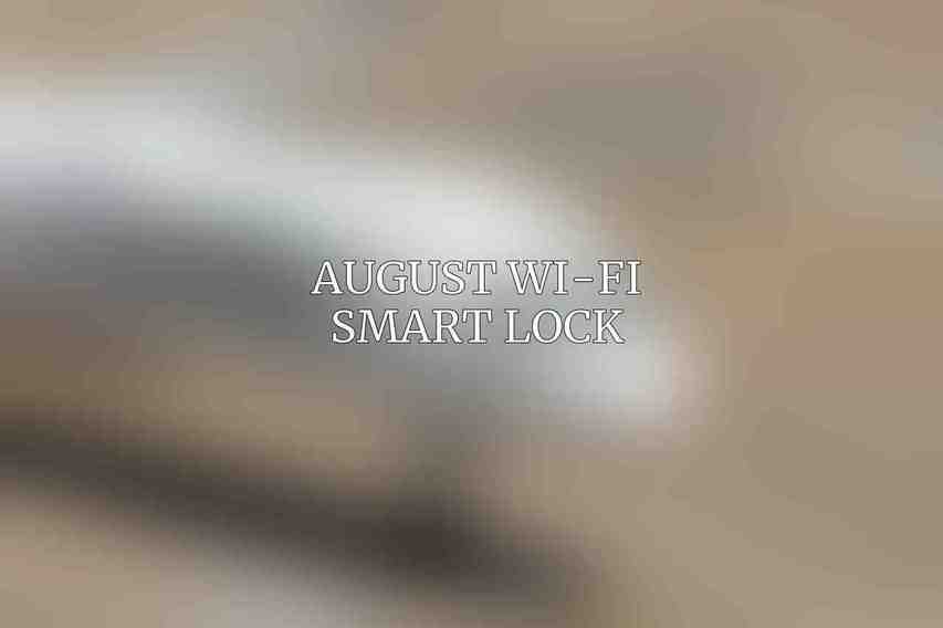 August Wi-Fi Smart Lock