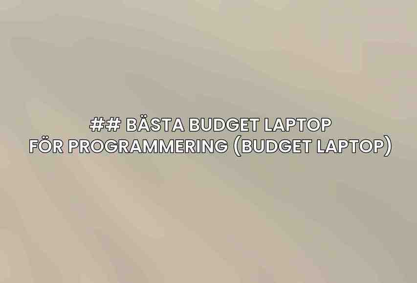 ## Bästa Budget Laptop för Programmering (Budget Laptop)