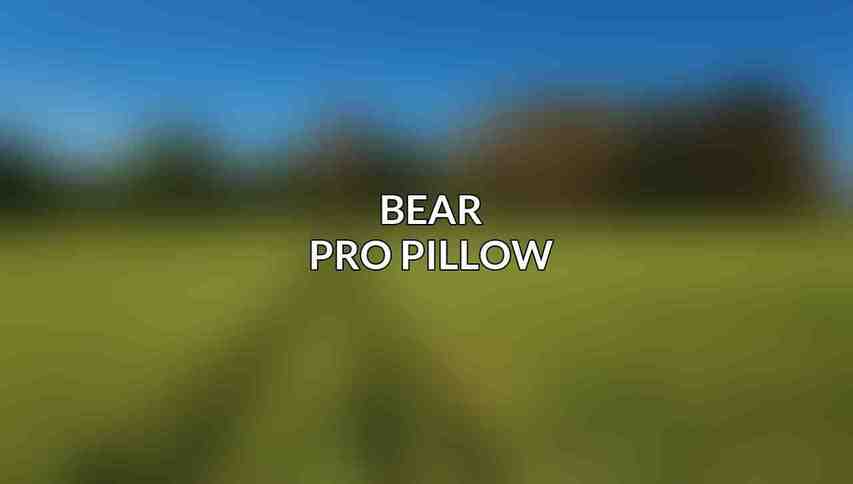 Bear Pro Pillow