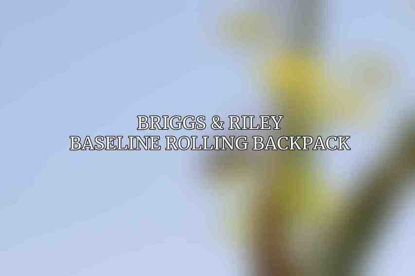 Briggs & Riley Baseline Rolling Backpack