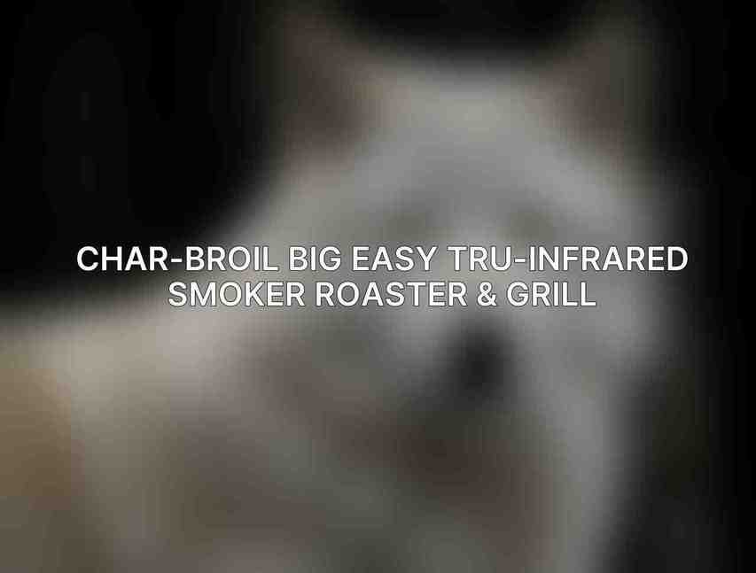 Char-Broil Big Easy Tru-Infrared Smoker Roaster & Grill