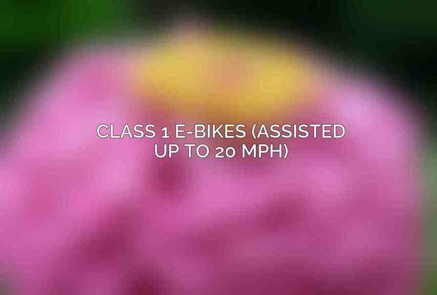 Class 1 E-Bikes (Assisted up to 20 mph)