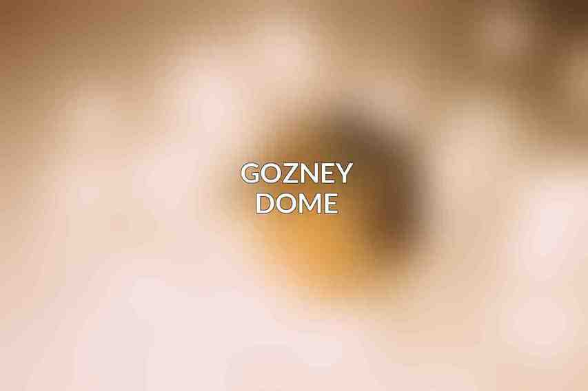 Gozney Dome