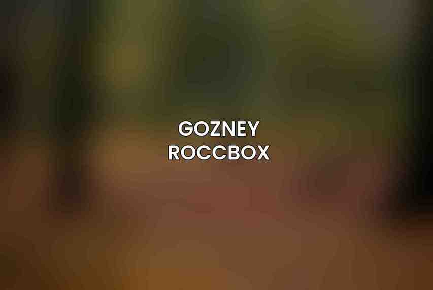 Gozney Roccbox