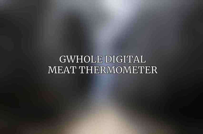 GWHOLE Digital Meat Thermometer