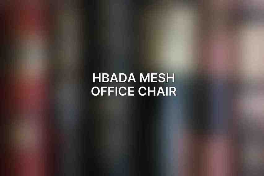 Hbada Mesh Office Chair