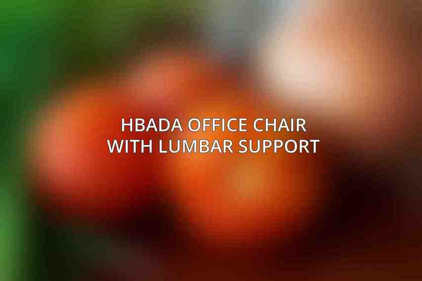 Hbada Office Chair with Lumbar Support