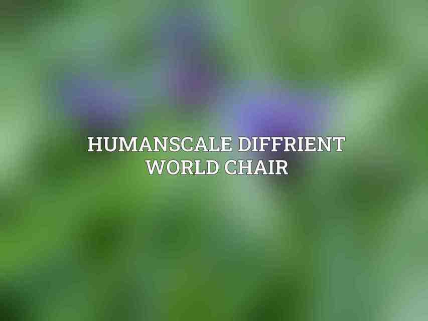 Humanscale Diffrient World Chair