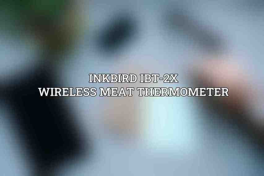 INKBIRD IBT-2X Wireless Meat Thermometer