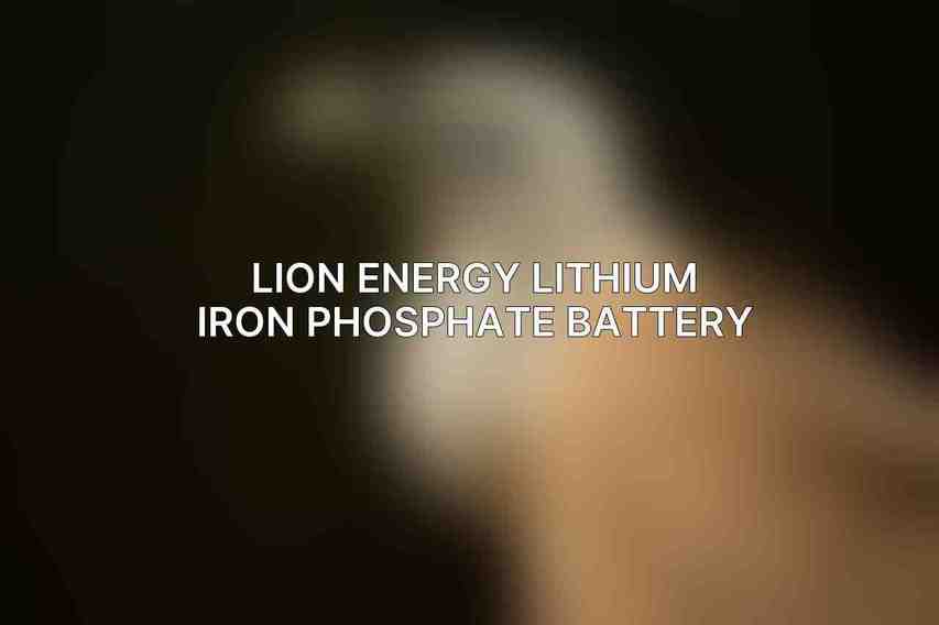 Lion Energy Lithium Iron Phosphate Battery