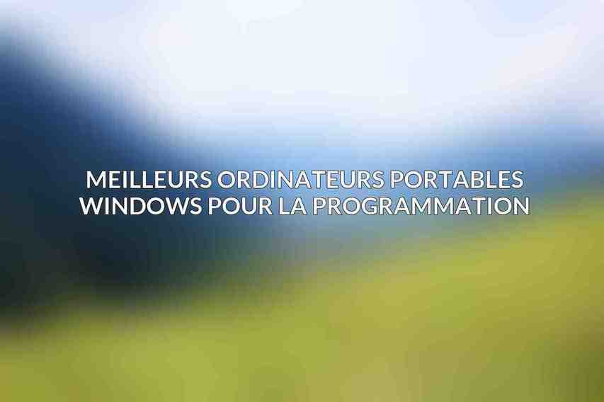 Meilleurs Ordinateurs Portables Windows pour la Programmation:
