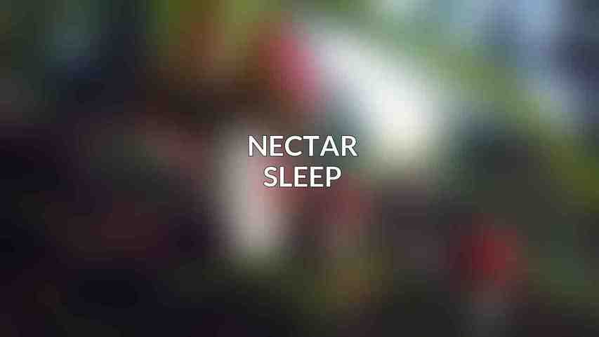 Nectar Sleep