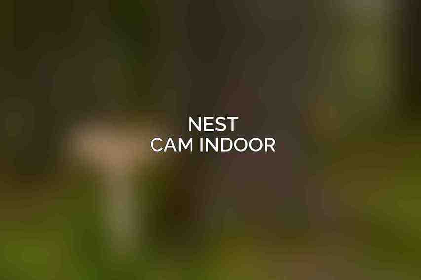 Nest Cam Indoor
