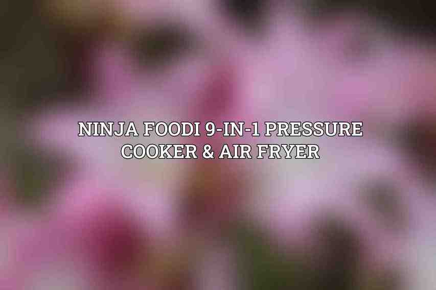 Ninja Foodi 9-in-1 Pressure Cooker & Air Fryer