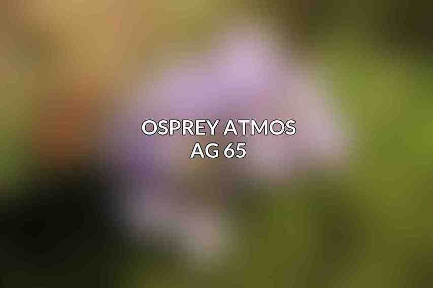 Osprey Atmos AG 65