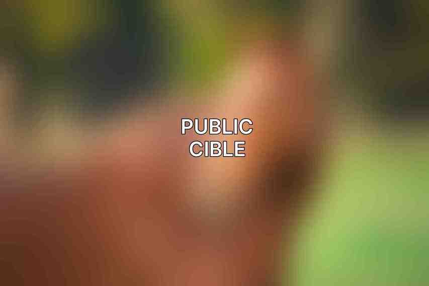 Public Cible
