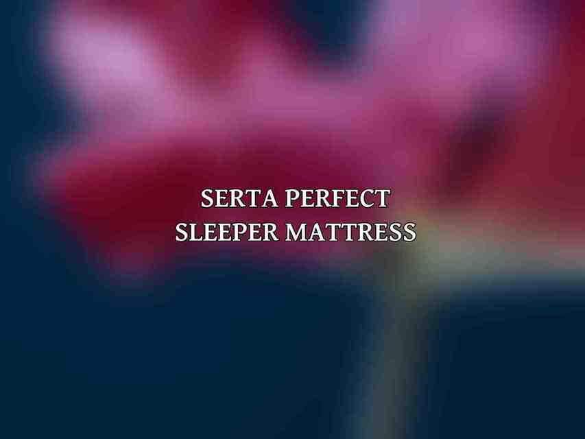 Serta Perfect Sleeper Mattress