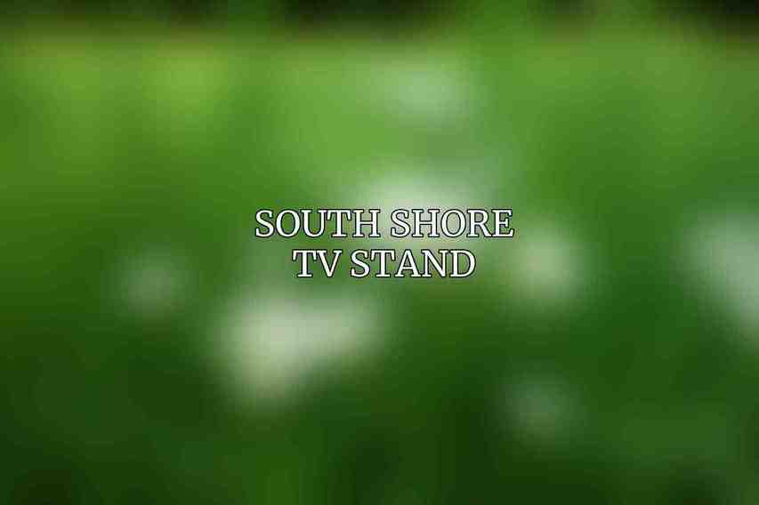 South Shore TV Stand
