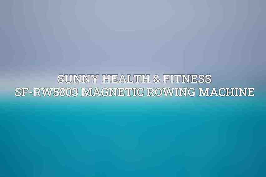 Sunny Health & Fitness SF-RW5803 Magnetic Rowing Machine
