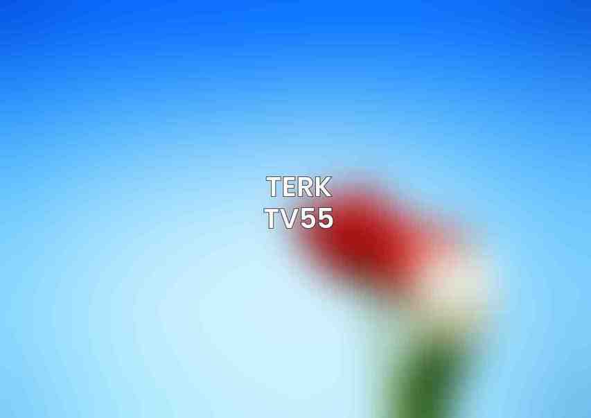 Terk TV55