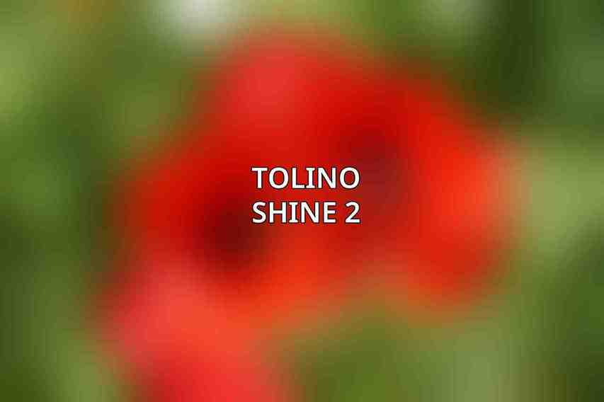 Tolino Shine 2
