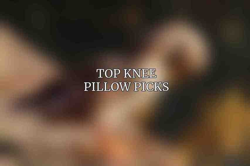 Top Knee Pillow Picks