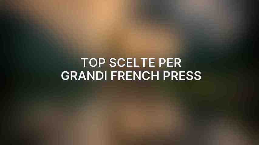 Top Scelte per Grandi French Press