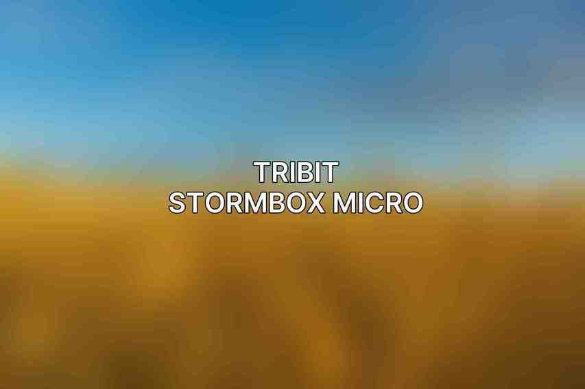 Tribit Stormbox Micro