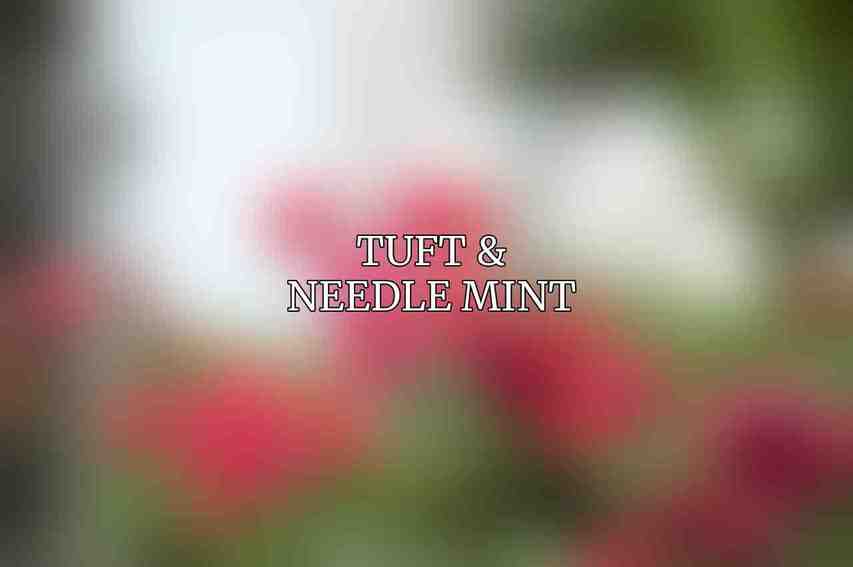 Tuft & Needle Mint