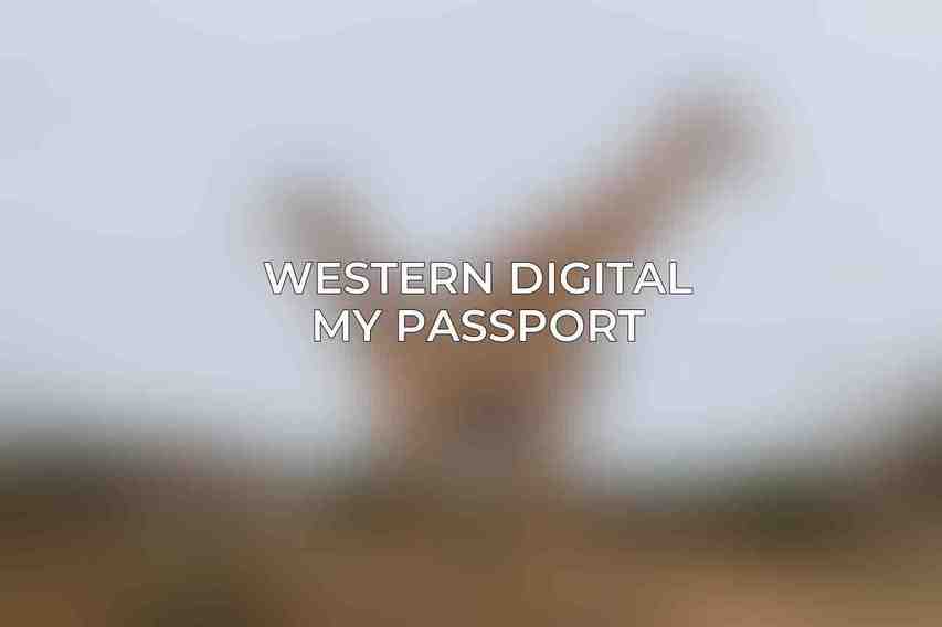 Western Digital My Passport