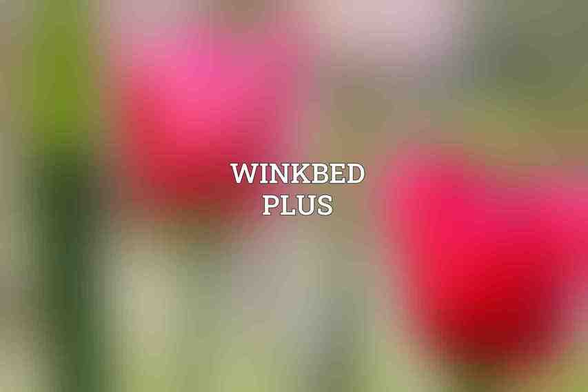 WinkBed Plus