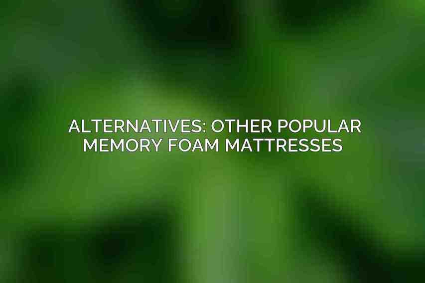 Alternatives: Other Popular Memory Foam Mattresses 