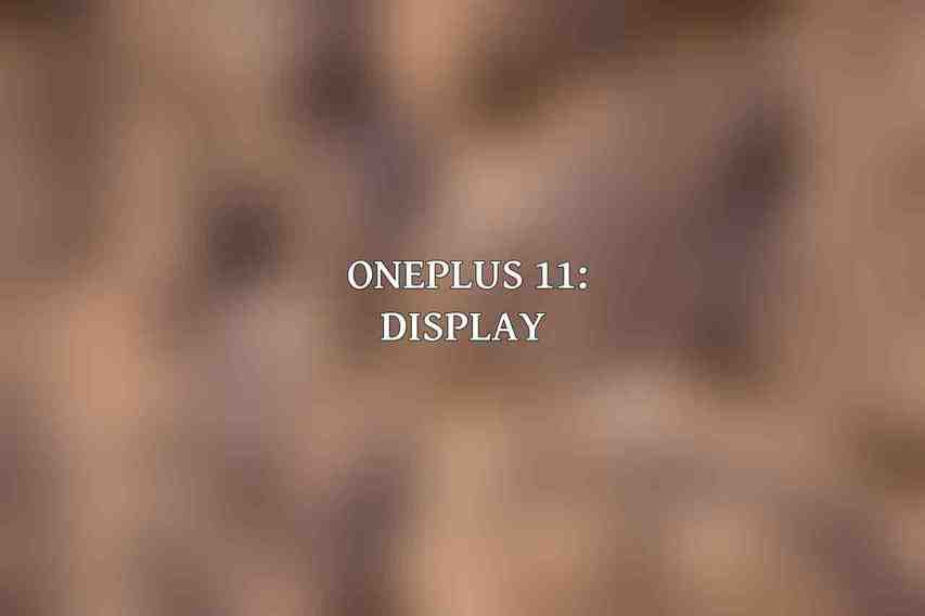 OnePlus 11: Display 