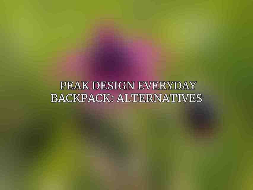 Peak Design Everyday Backpack: Alternatives 