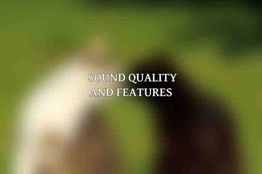 Sound Quality and Features 