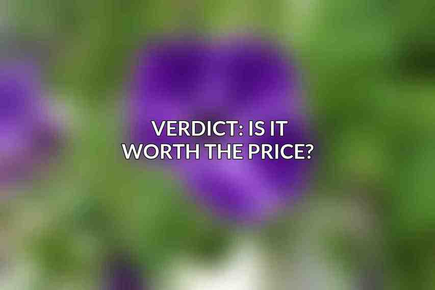 Verdict: Is It Worth the Price? 